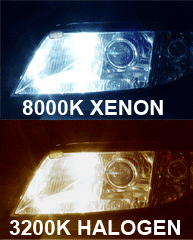 6000